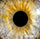 Emit 0003