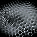 Gas remix - Visit Lumiere...